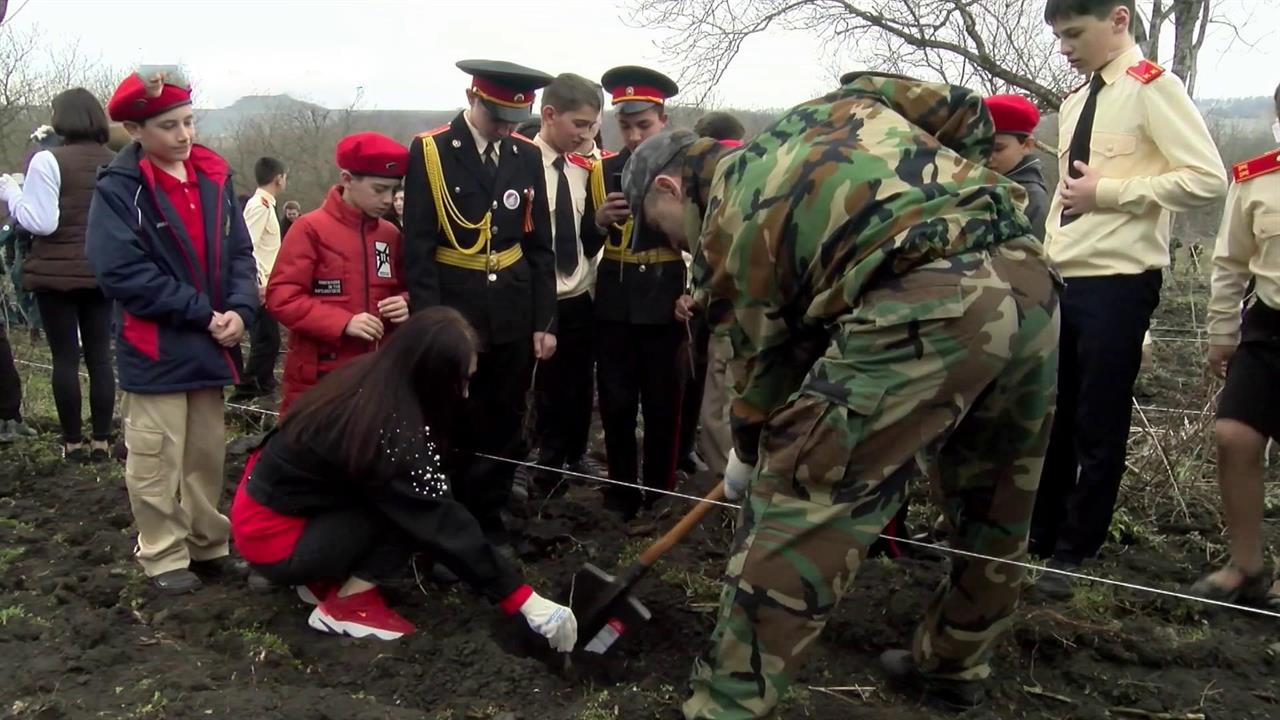 В Северной Осетии высадили миллионное дерево в память о павших в Великой Отечественной войне