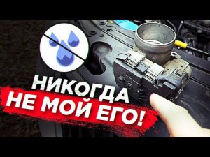 Skoda Rapid. Ужас немытого дросселя.