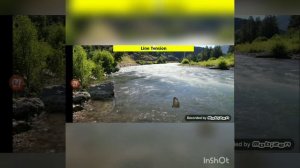 Game FLY FISHING SIMULATOR (1. video)