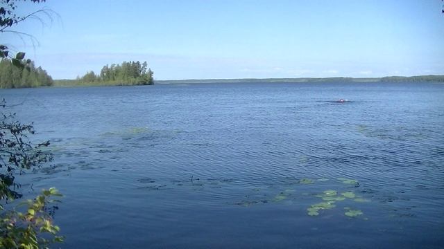 vatravel.ru Ковжское озеро (Вологодская область)