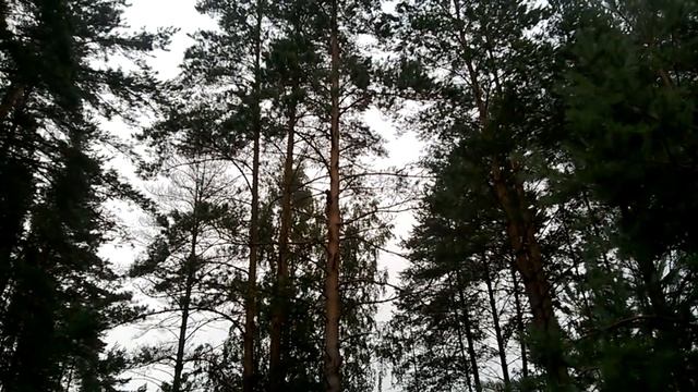 Лето глазами охотника и рыбалова. (с телефона) смотреть онлайн