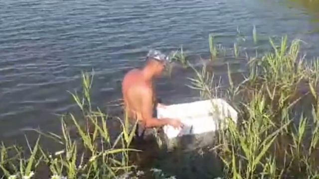 Зарыбление прудов мальком австралийского красноклешневого рака смотреть онлайн