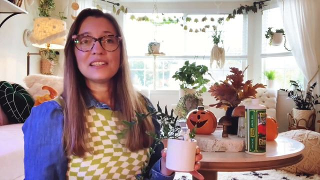 Why My Hoya Grow Faster Than Yours | New VYCOL Humidifier смотреть онлайн