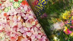 Поздравление с 14-летием! Новинка! Прекрасное видео поздравление! СУПЕР ПОЗДРАВЛЕНИЕ!