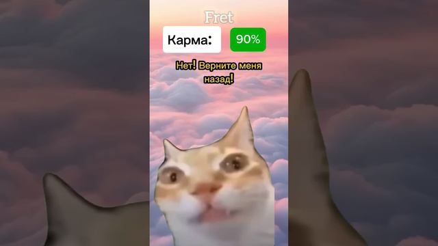 Собака по карме определяет куда их отправить🤯 #котики #мем