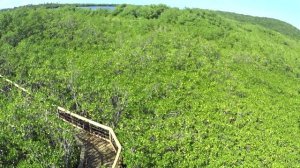 "Cabezas de San Juan" en Fajardo, Puerto Rico, admira las Reservas Naturales de nuestra isla