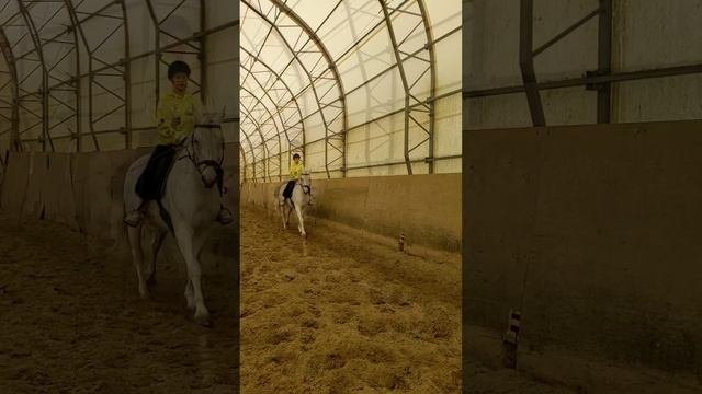 Александра, после перерыва, вспоминаем что такое лошадка, два уха и Фост.