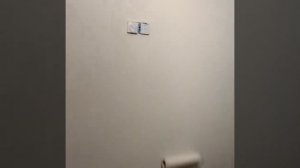 поклейка и покраска флизелиновых обоев