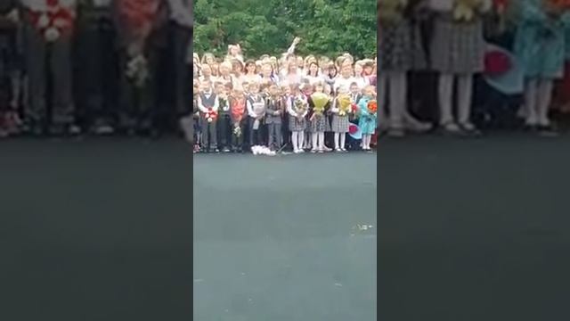 Первоклассник растоптал букет на 1 сентября смотреть онлайн