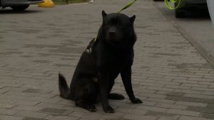 (12+) Актуальное интервью с Ольгой Сысоевой