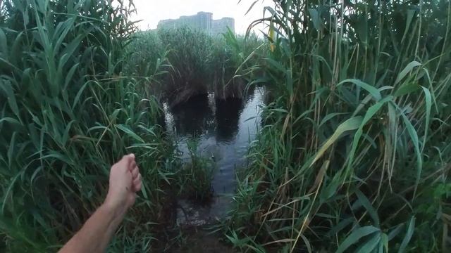 Кастинговая сеть! Прогулка по рыбным местам ранним утром! смотреть онлайн