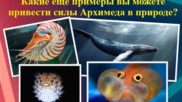 Сила Архимеда (7 класс)