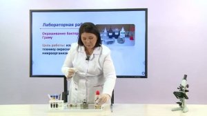 Биология. 11 класс. Особенности строения грамположительных и грамотрицательных бактерий /29.01.2021