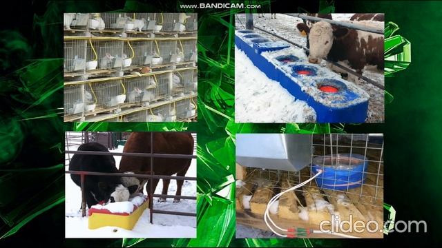 ✅ Соловьиная баланда ✅ Лайки Соловьева ✅