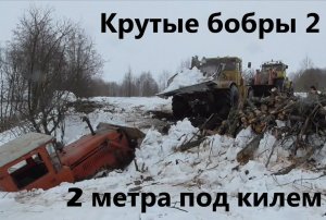 Крутые бобры 2. 2 метра под килем. Angry beavers 2. 2 meters under the keel