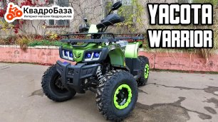 Квадроцикл подростковый 200 кубов Yacota Warrior от Kvadrobaza