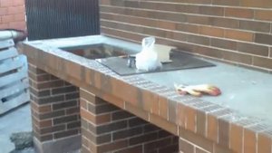 Мангал с печью под казан и духовкой кладка печей в Краснодаре тел 79184786152