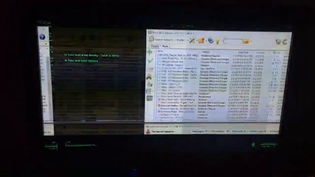 Fallout 3 Video Driver Crash 1 смотреть онлайн