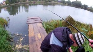 Щука и окунь на спиннинг в сентябре