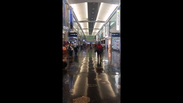 An HD Tour of Miami International Airport (MIA), Aug. 2015 смотреть онлайн