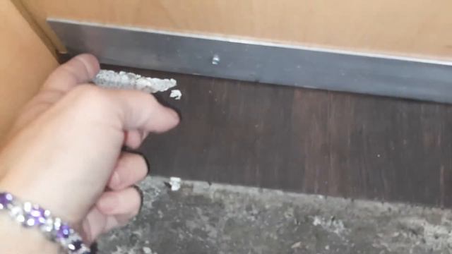 #крысы что творят, на #работу приехали, а там #сюрприз смотреть онлайн