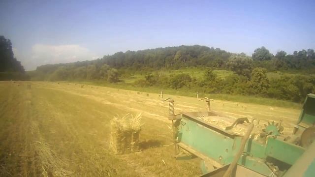 Юмз и пресс подборщик fortshritt Райграс на сено выход тюков на га смотреть онлайн