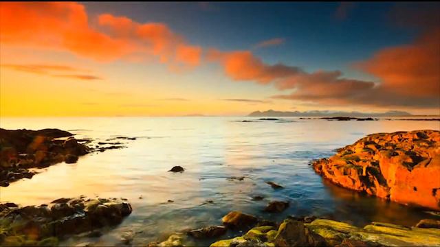 Мой Инсайд или Записки Безумца смотреть онлайн