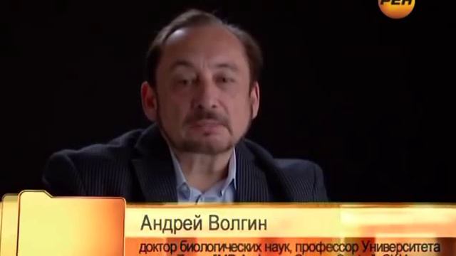 Живая тема. Книга Бытия