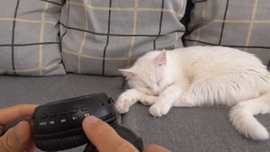 ZEALOT B570 лучшие беспроводные наушники с AliExpress с MP3 плеером и ФМ радио.