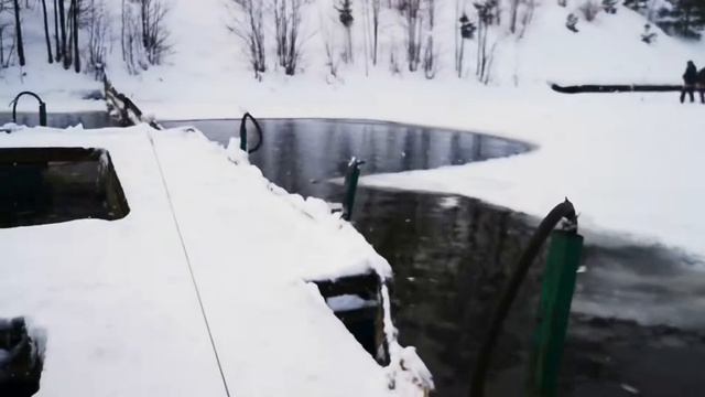 15 января 2022 | Запуск 250 кг форели в VIP акватории | Золотые Караси смотреть онлайн