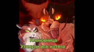 Коты Воители