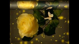 САМОЕ Красивое поздравление с Днем Рождения Женщине!