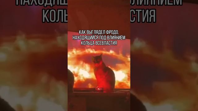 Саурон видит все #рекомендации #юмор #смех #литература #книги #чтение