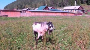 Посёлок Бирюса. Красноярский край