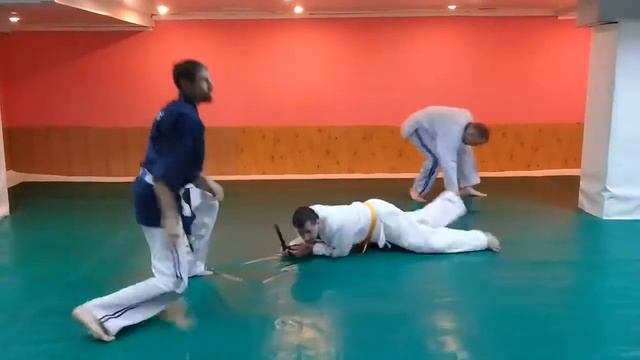 Всемирная Федерация Джиу-Джитсу и Кобудо (WJJF/WJJKO) смотреть онлайн