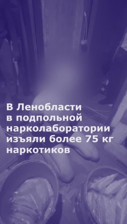 В Ленобласти в подпольной нарколаборатории изъяли более 75 кг наркотиков