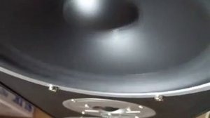 Magnat Monitor Supreme 800 on a Sherwood AX-5103 Amplifier