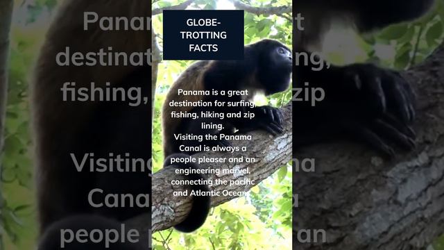 Globe-Trotting Facts