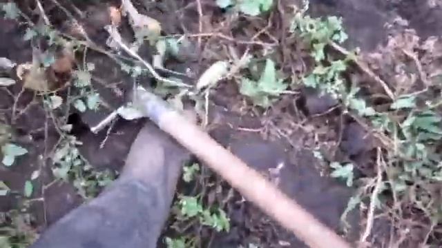 Мега Картофель. Жуковец плюс смотреть онлайн