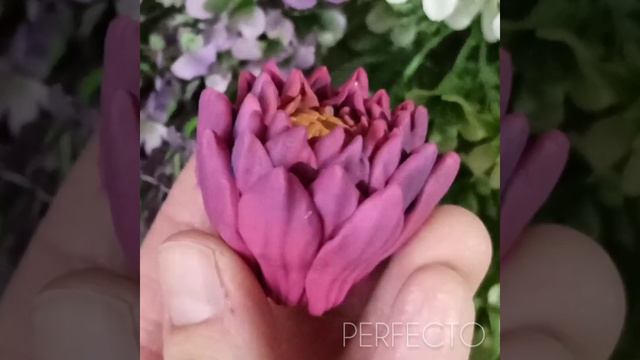 Протея распустившаяся смотреть онлайн