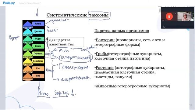 ОГЭ по биологии - урок в онлайн-школе Учеба.ру смотреть онлайн