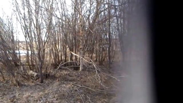 Крах тесака смотреть онлайн