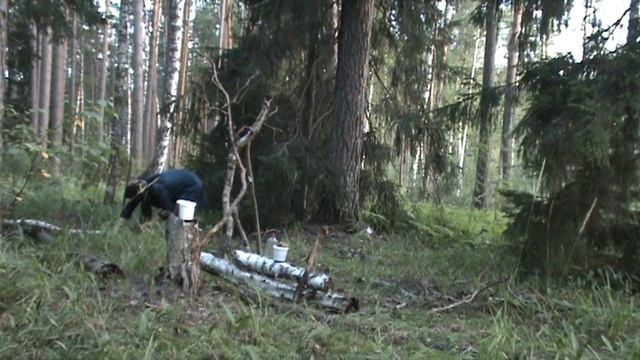 Бабая. Бабайка. Баба Яга. 2. В лесу. смотреть онлайн