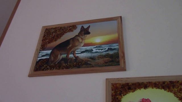 Милые собачки.