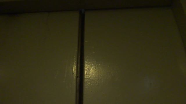 Электрический лифт V=0,71 м-с, грузоподьемность 320 кг (1005) смотреть онлайн