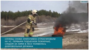 Огонь, вода и пена. В Сытомино прошли учения по ликвидации подтопления и пожаров