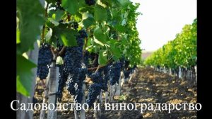 Окружающий мир. 3 класс. Растениеводство.