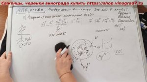 Физико- химическое поглощение почв, обменно-поглотительное поглощение элеметнов питания почвой.