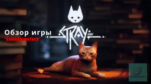 Обзор игры Stray