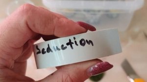 Листы в тепличке. Проблемы и решения. Сажаем фрагменты листа